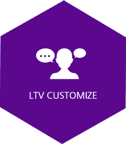 LTV Customize